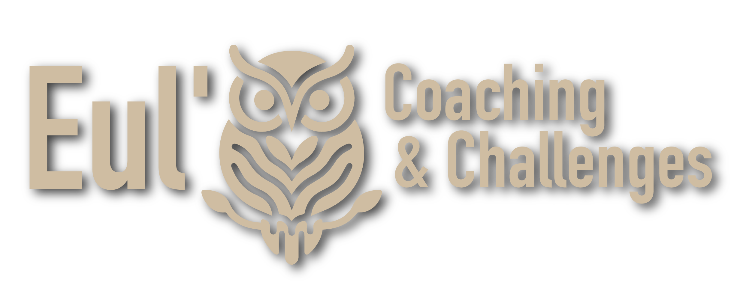 Eul' Coaching & Challenges